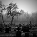 Cemetery_BW_Tombstones_Trees_1920x1080
