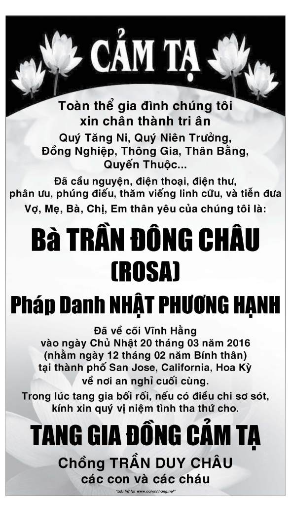 Cam Ta ba Tran Dong Chau